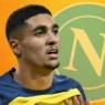 Khalaili-Napoli, CdM - Manna proverà a dare un'accelerata senza fare follie sul prezzo