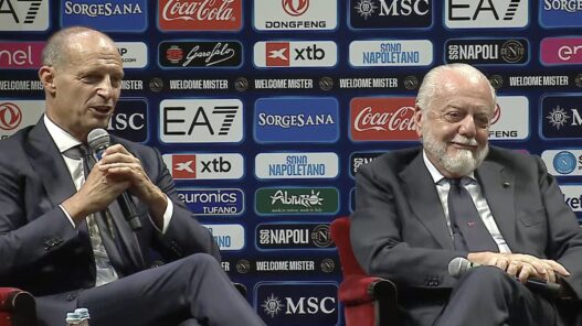 Mercato estivo Napoli: giudizio finale dei tifosi
