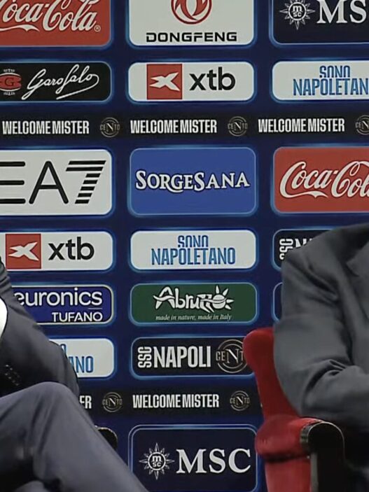 Mercato estivo Napoli: giudizio finale dei tifosi