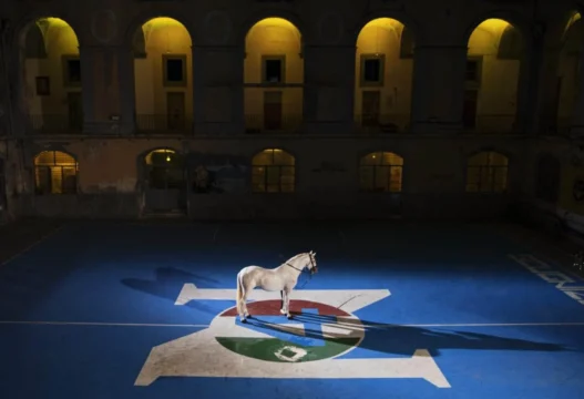 Napoli, inizia l'anno del Centenario: eventi, film e Treccani