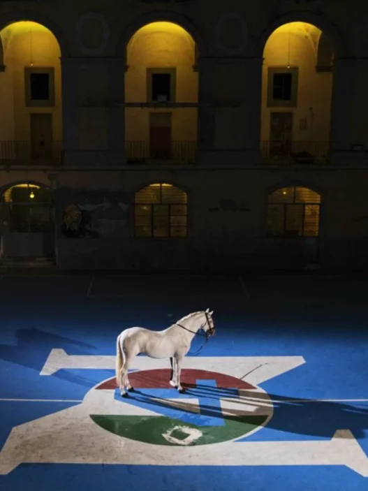 Napoli, inizia l'anno del Centenario: eventi, film e Treccani