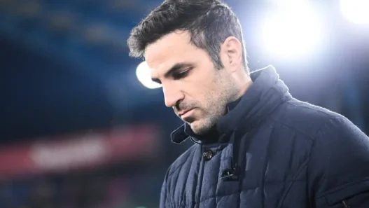 Fabregas: "Il Napoli è un avversario sempre difficile"