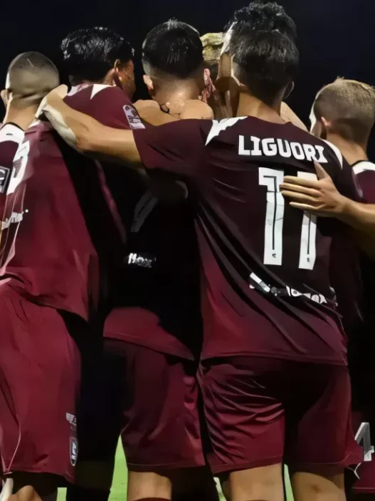 Salernitana, esonerato Cosmi: si cerca il sostituto